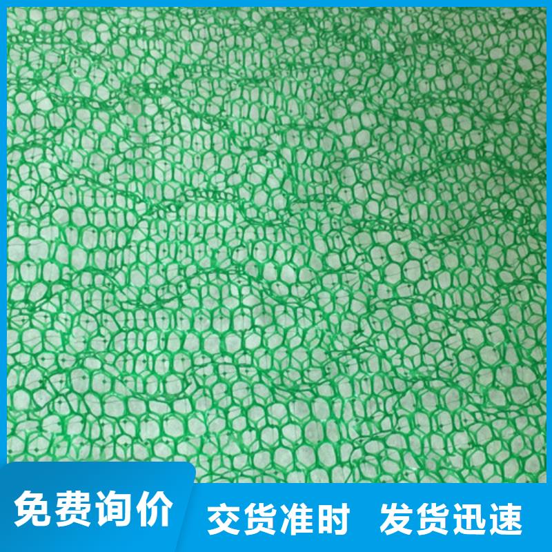 三維植被網(wǎng)三維土工網(wǎng)墊追求品質(zhì)