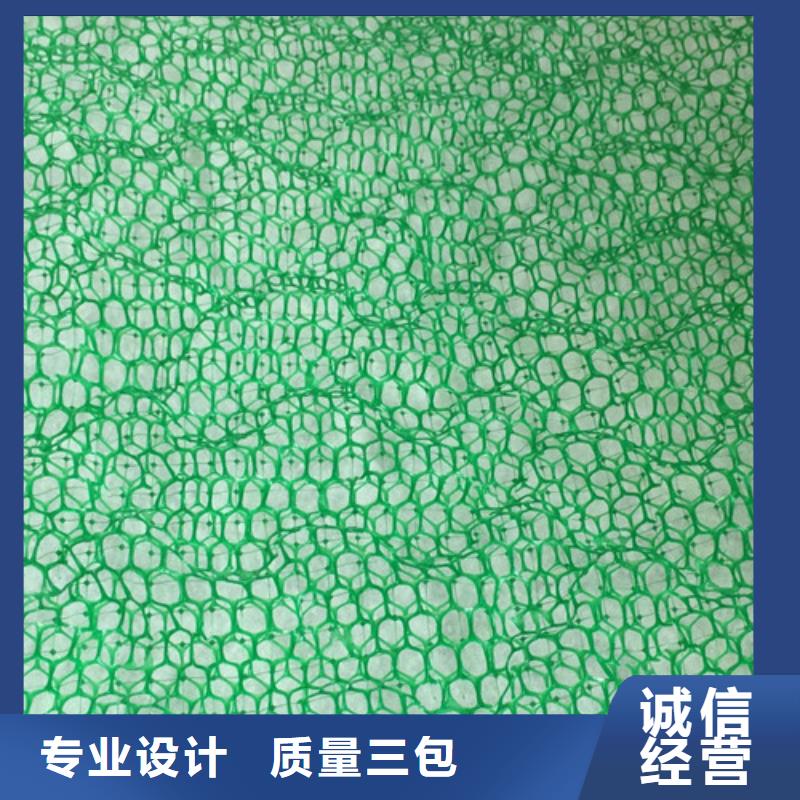 三維植被網(wǎng)【生態(tài)袋】多種規(guī)格供您選擇