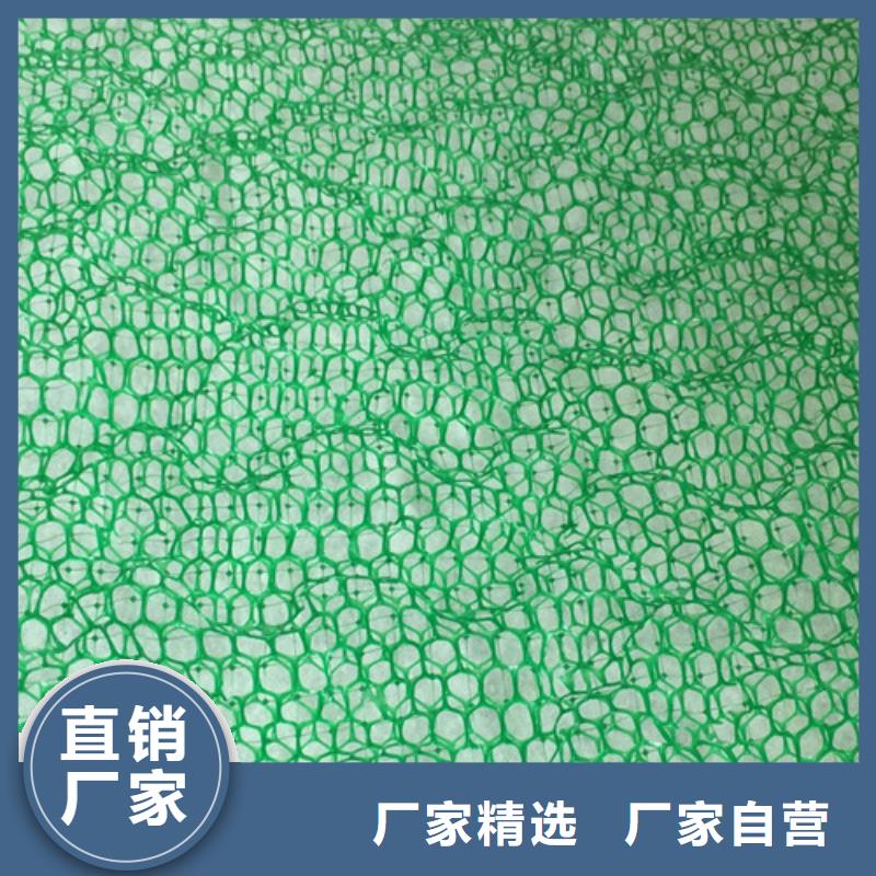 三維植被網(wǎng)三維植被網(wǎng)實力廠家直銷