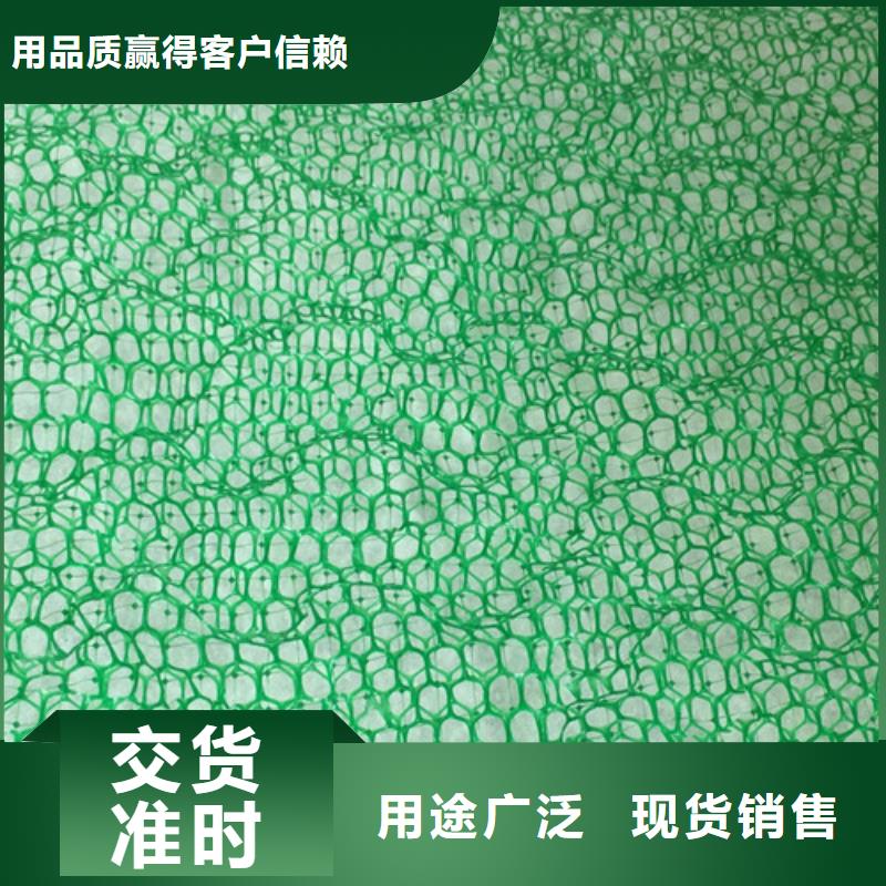三維植被網(wǎng)土工格柵廠家直銷值得選擇