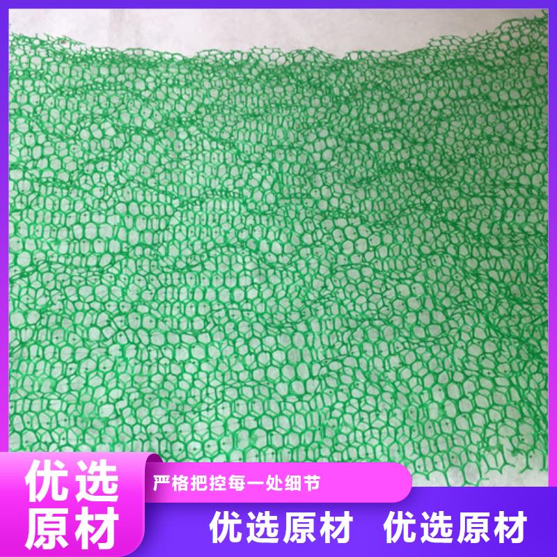 三維植被網(wǎng)【生態(tài)袋】多種規(guī)格供您選擇