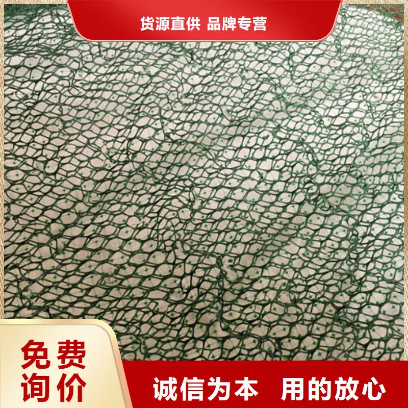 三維植被網(wǎng)三維網(wǎng)墊品質(zhì)不將就