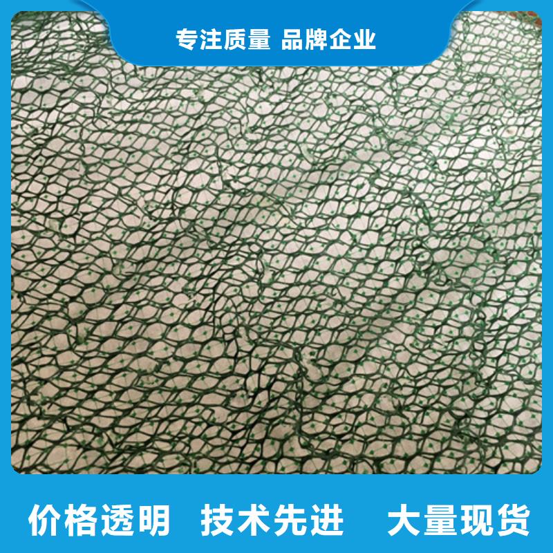 三維植被網(wǎng)三維植被網(wǎng)廠誠(chéng)信經(jīng)營(yíng)