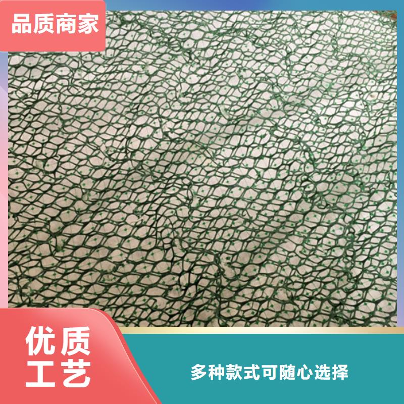 三維植被網(wǎng)三維植被網(wǎng)實力廠家直銷