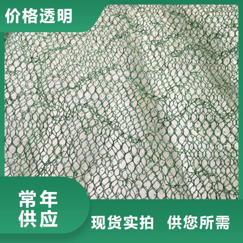 三維植被網(wǎng)HDPE土工膜品質(zhì)優(yōu)選