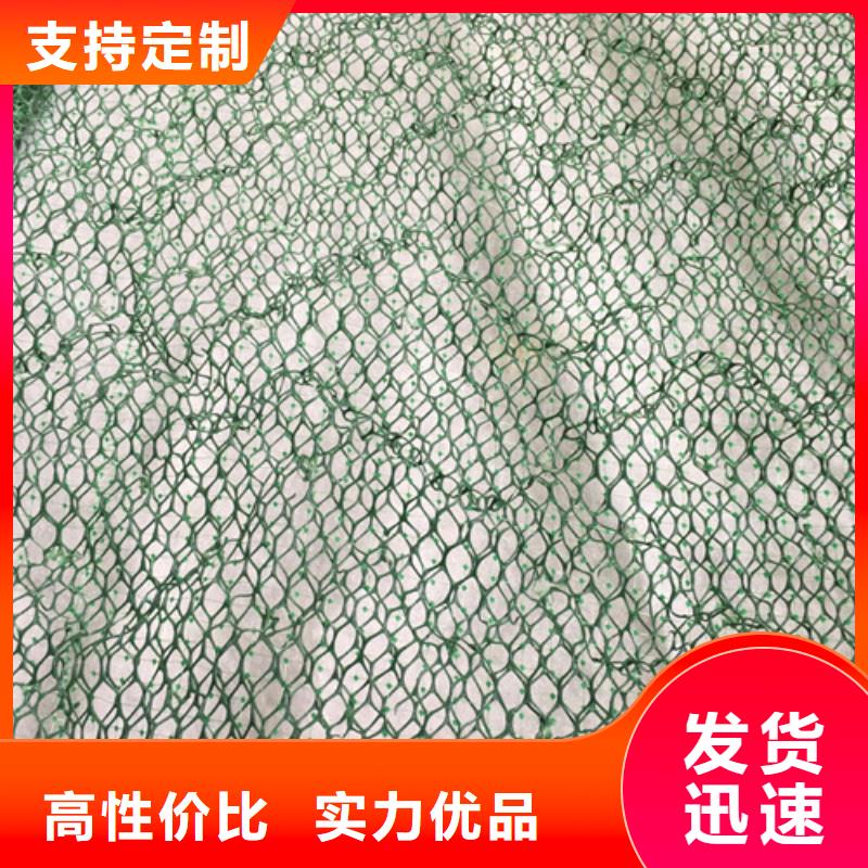 三維植被網(wǎng)【膨潤土防水毯】精選好貨