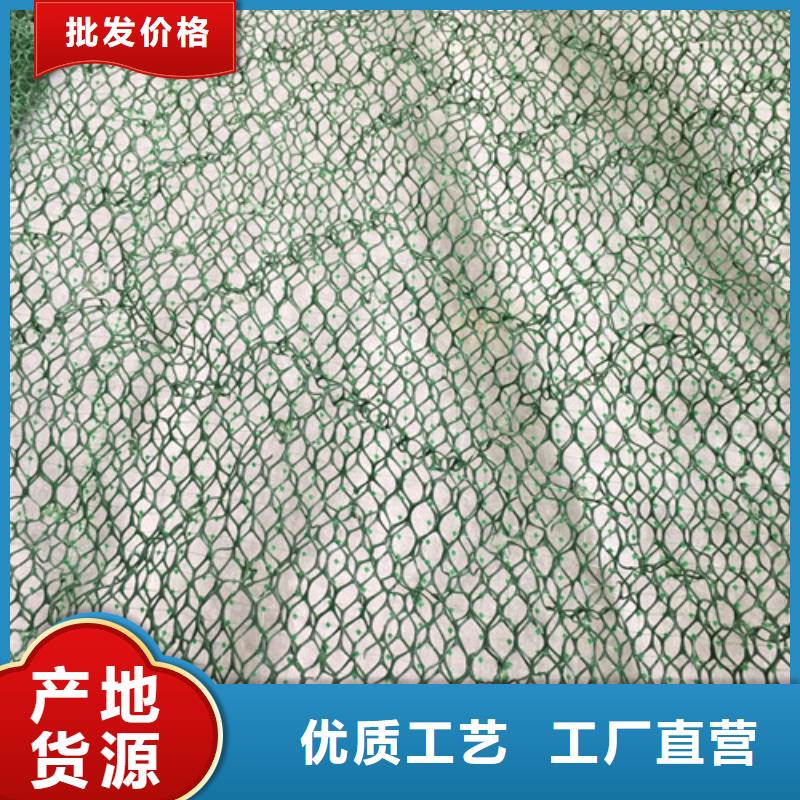 三維植被網_三維土工網庫存豐富