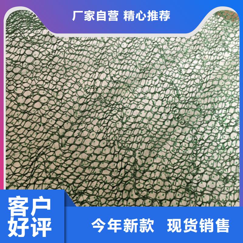 三維植被網(wǎng)【生態(tài)袋】多種規(guī)格供您選擇