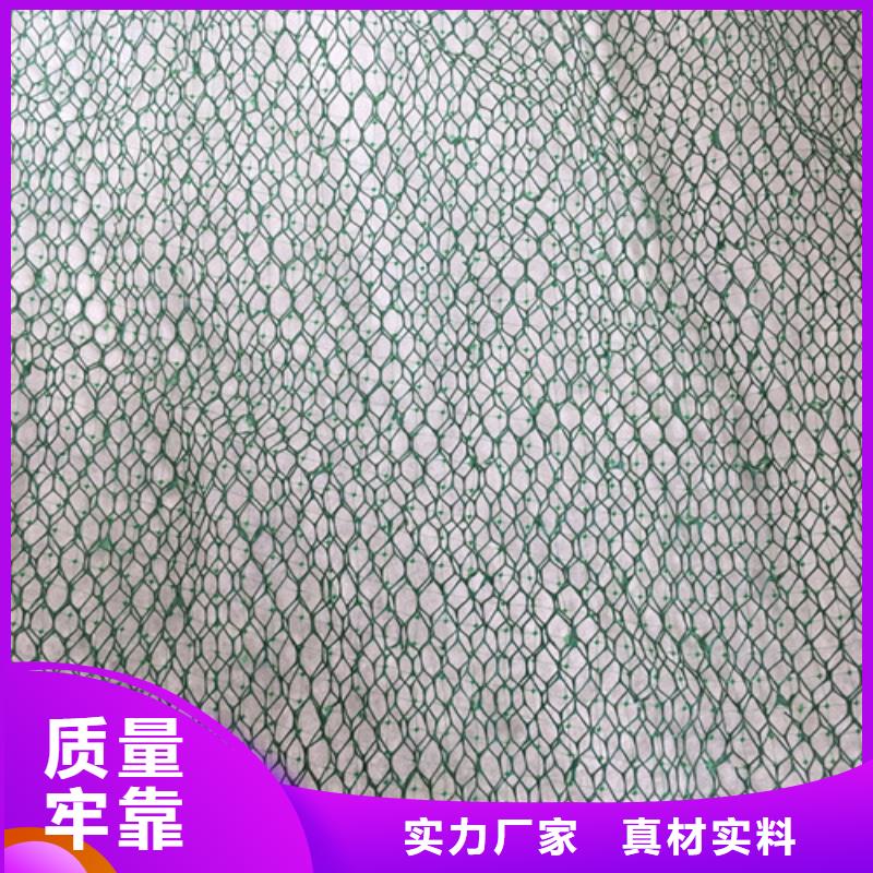 三維植被網(wǎng)土工網(wǎng)來(lái)圖加工定制