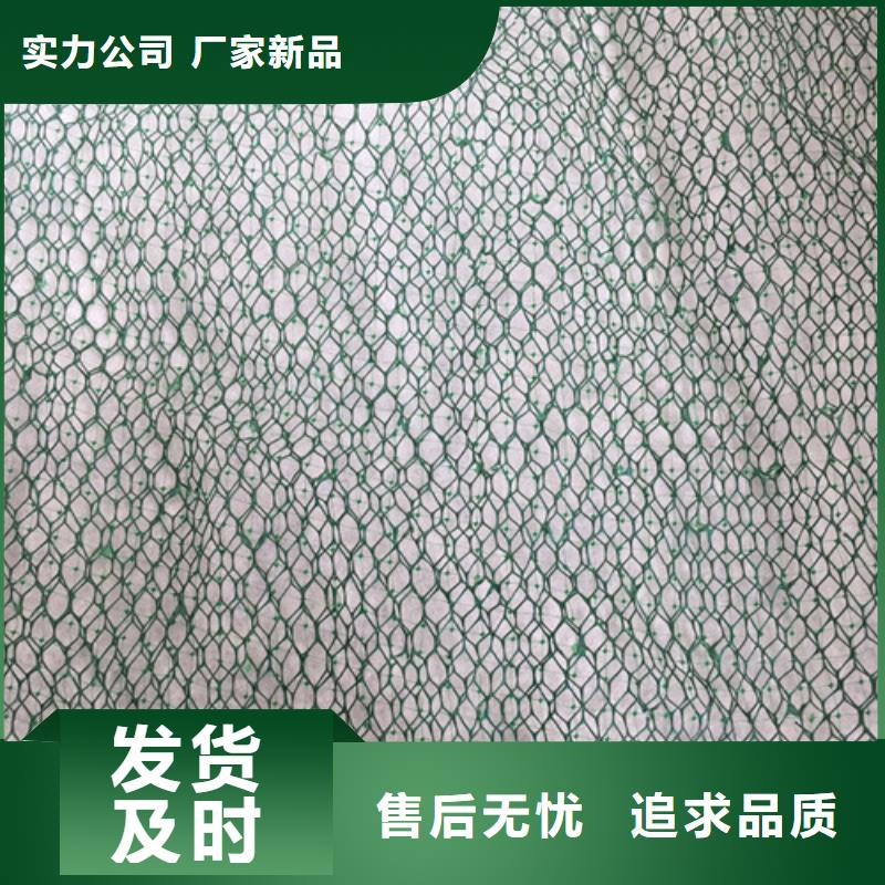 三維植被網(wǎng)三維土工網(wǎng)實(shí)力廠(chǎng)商