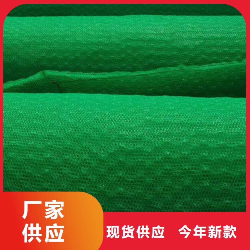 三維植被網(wǎng)塑料排水板從源頭保證品質(zhì)