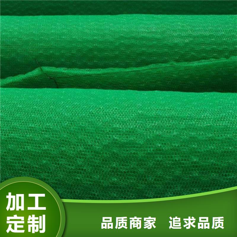 三維植被網(wǎng)土工布現(xiàn)貨批發(fā)