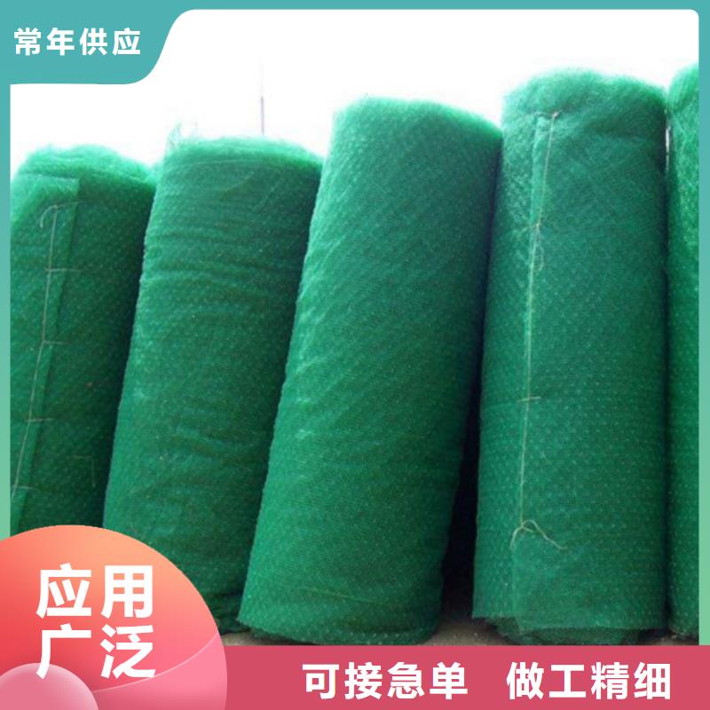 三維植被網(wǎng) 軟式透水管發(fā)貨及時