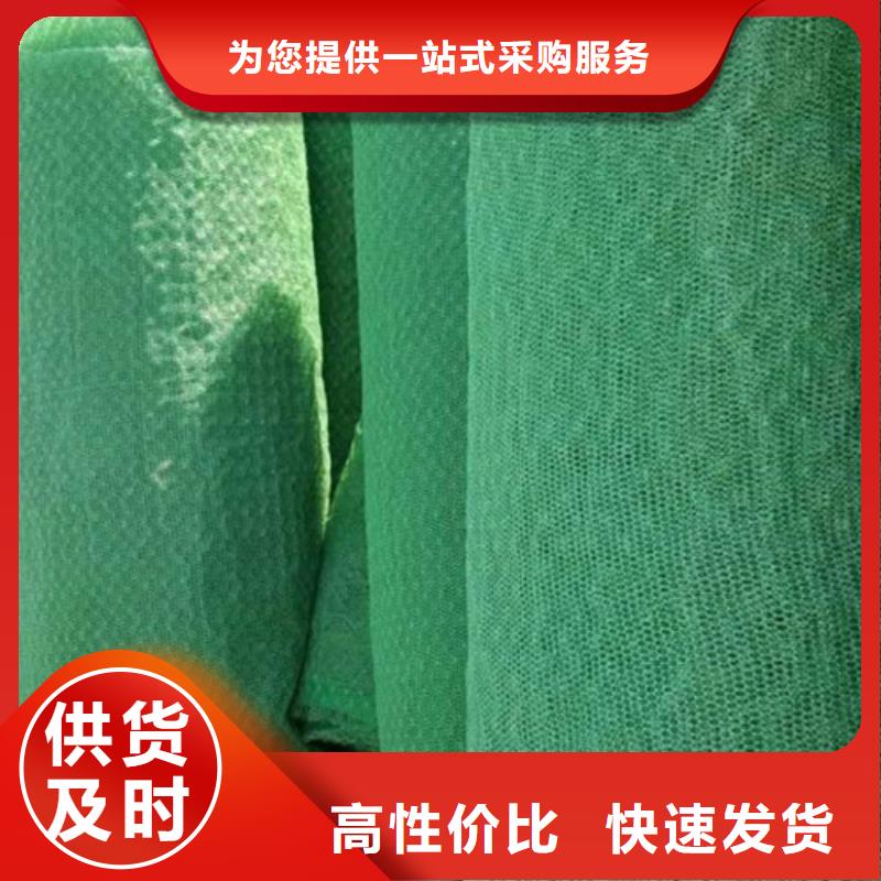 三維植被網(wǎng)土工格柵多種工藝