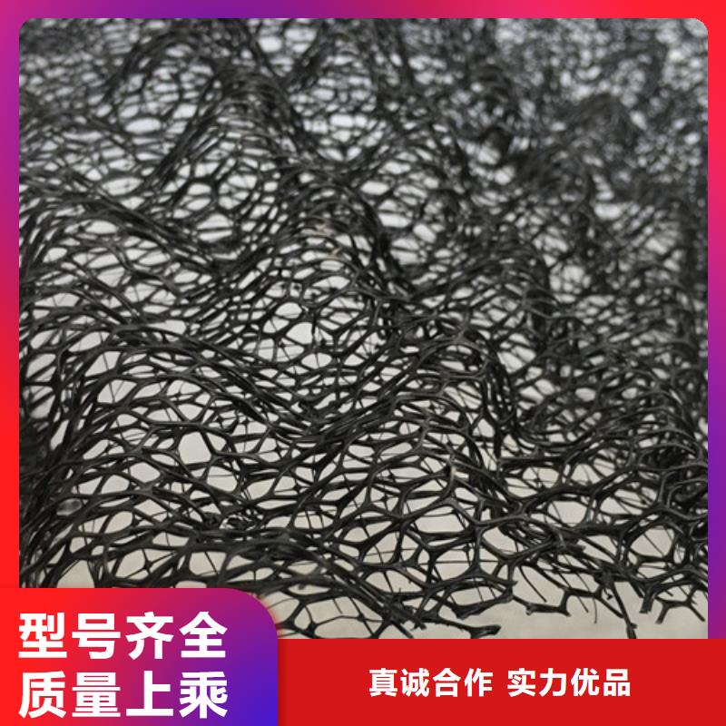 三維植被網(wǎng)-通風(fēng)降噪絲網(wǎng)實(shí)力廠家直銷