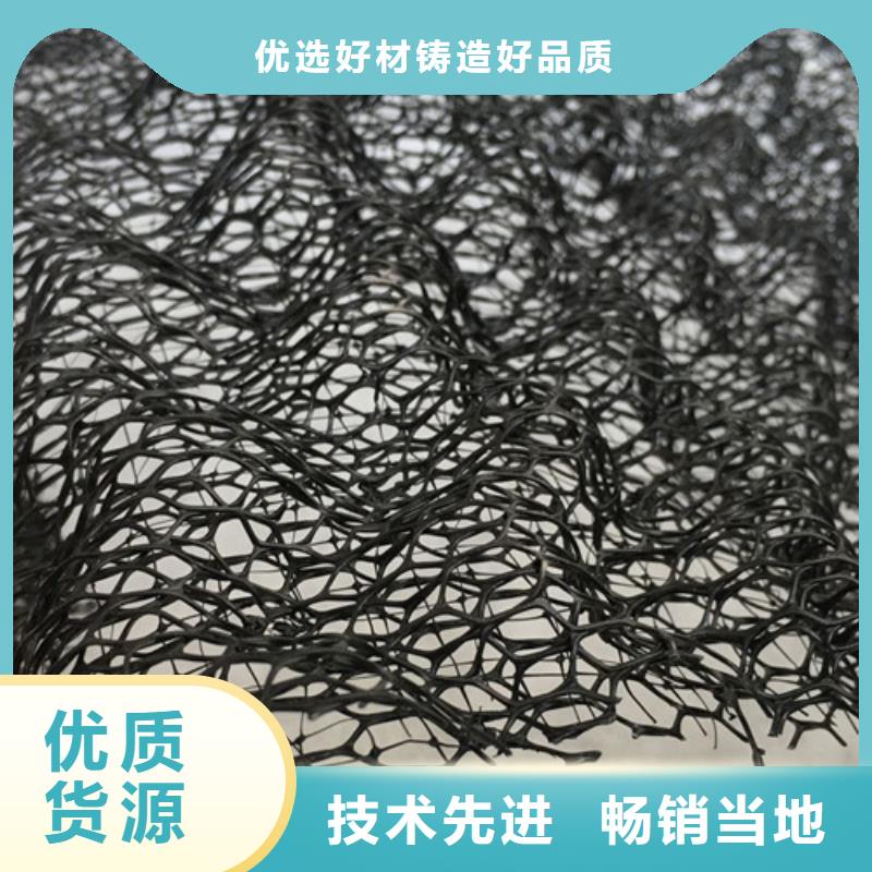 三維植被網(wǎng) 膨潤(rùn)土防水毯核心技術(shù)