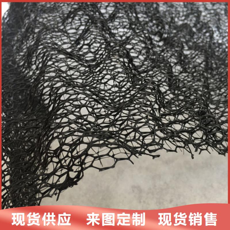三維植被網(wǎng)土工布現(xiàn)貨批發(fā)