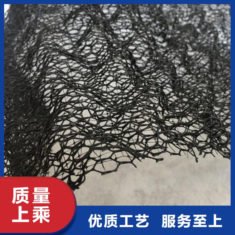 三維植被網(wǎng) 【通風降噪絲網(wǎng)】客戶信賴的廠家