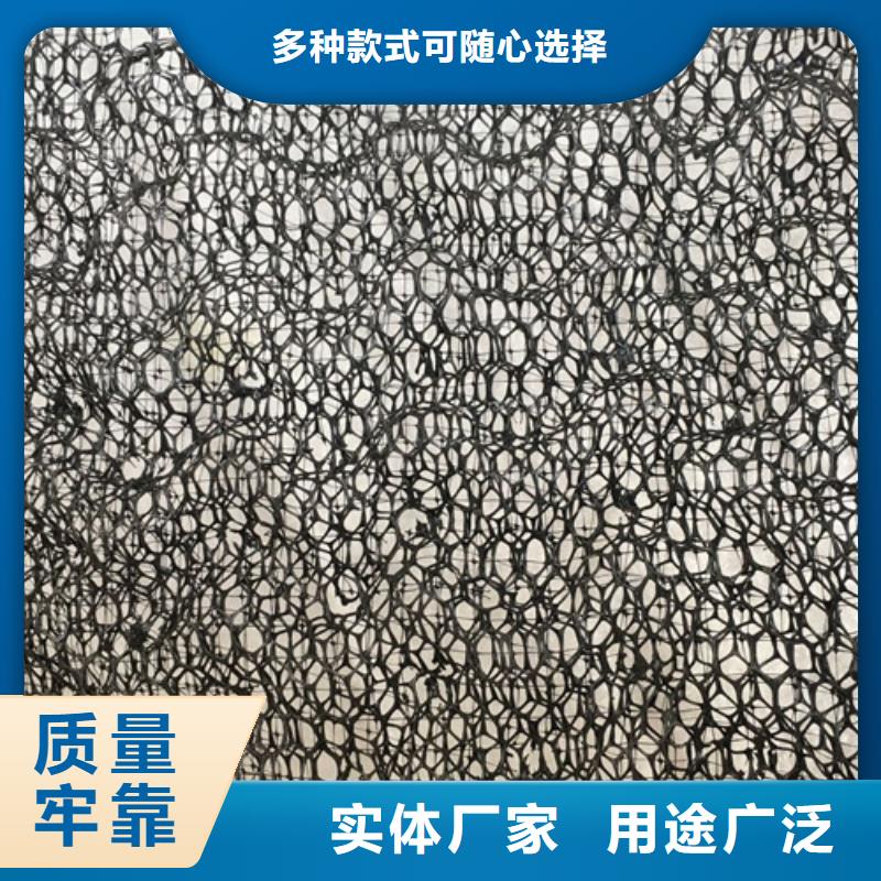 三維植被網(wǎng)-三維網(wǎng)墊品質(zhì)信得過