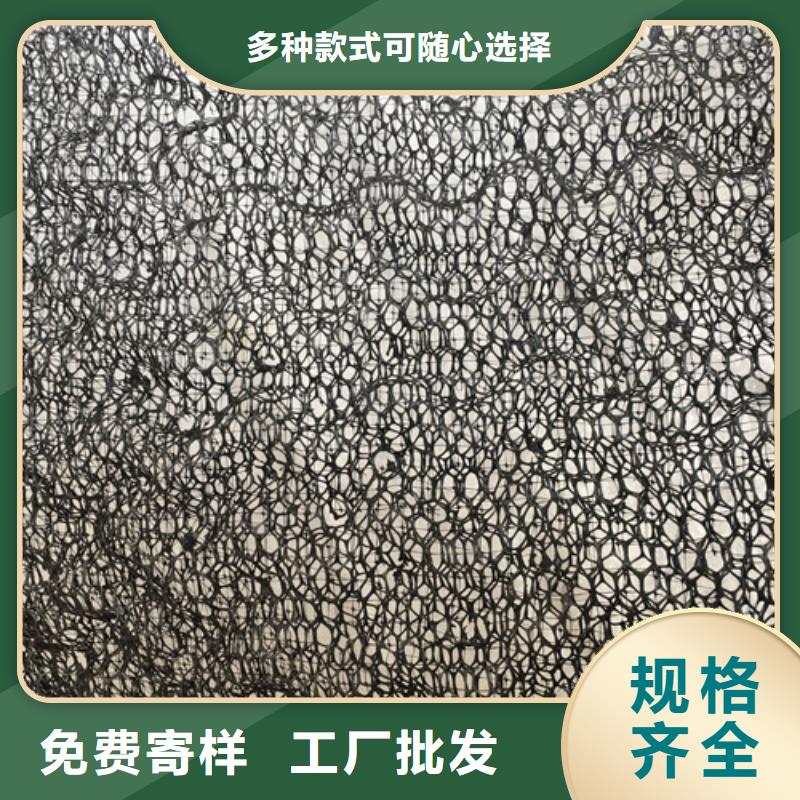 三維植被網_三維土工網庫存豐富