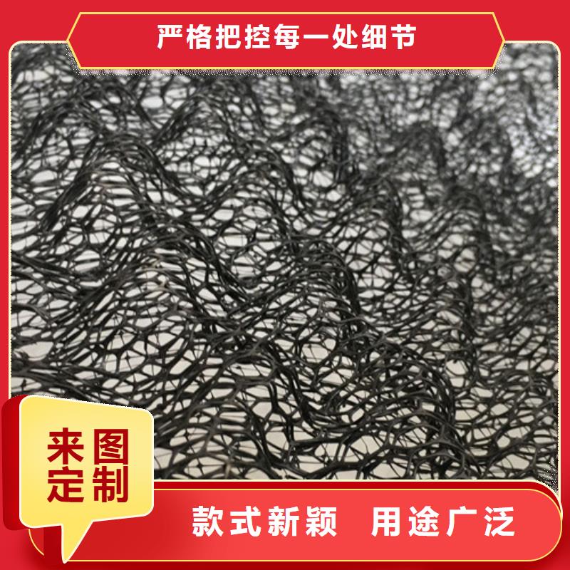 三維植被網(wǎng)_防水排水板支持非標定制