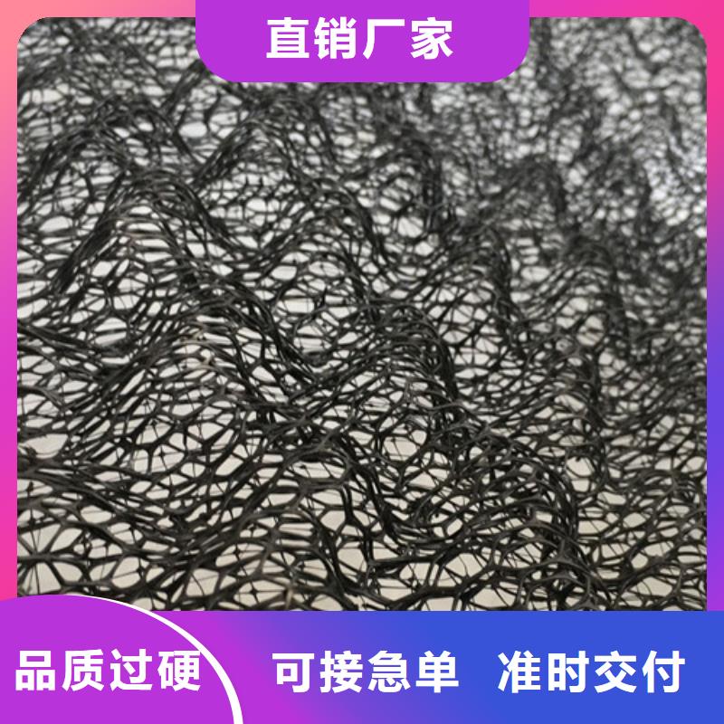 三維植被網(wǎng)_三維土工網(wǎng)專(zhuān)業(yè)的生產(chǎn)廠(chǎng)家