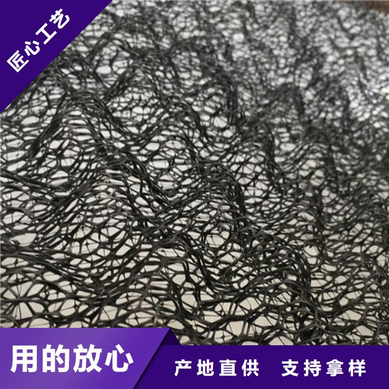 三維植被網(wǎng)三維土工網(wǎng)好廠家有擔(dān)當(dāng)