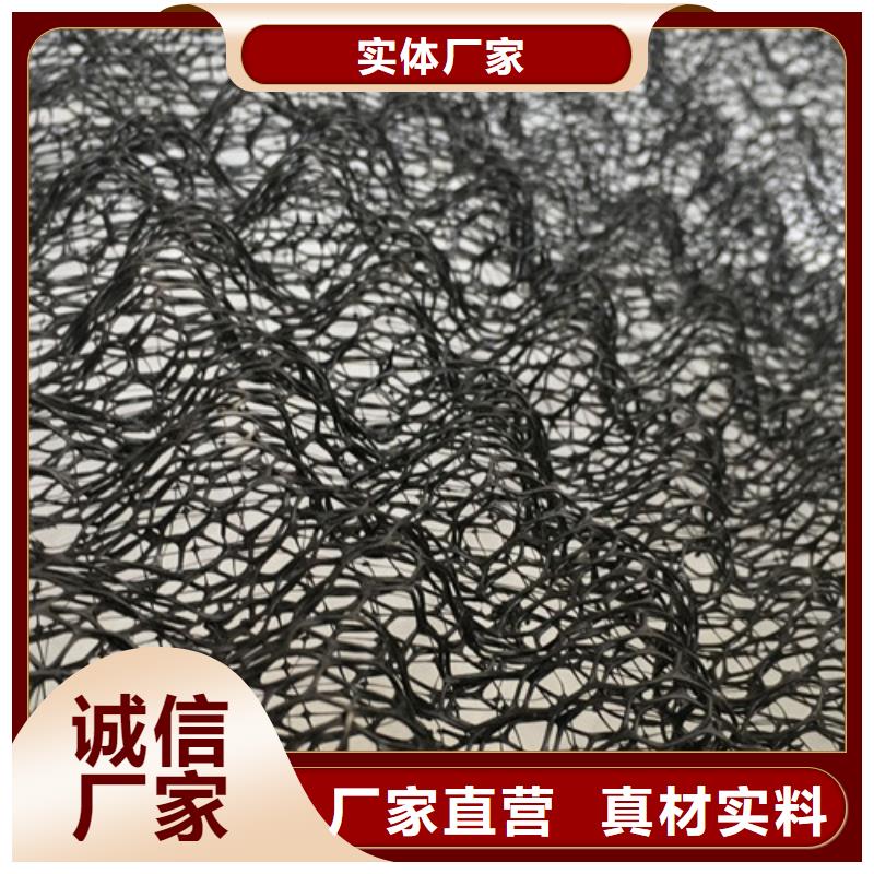 三維植被網(wǎng)-土工布可放心采購