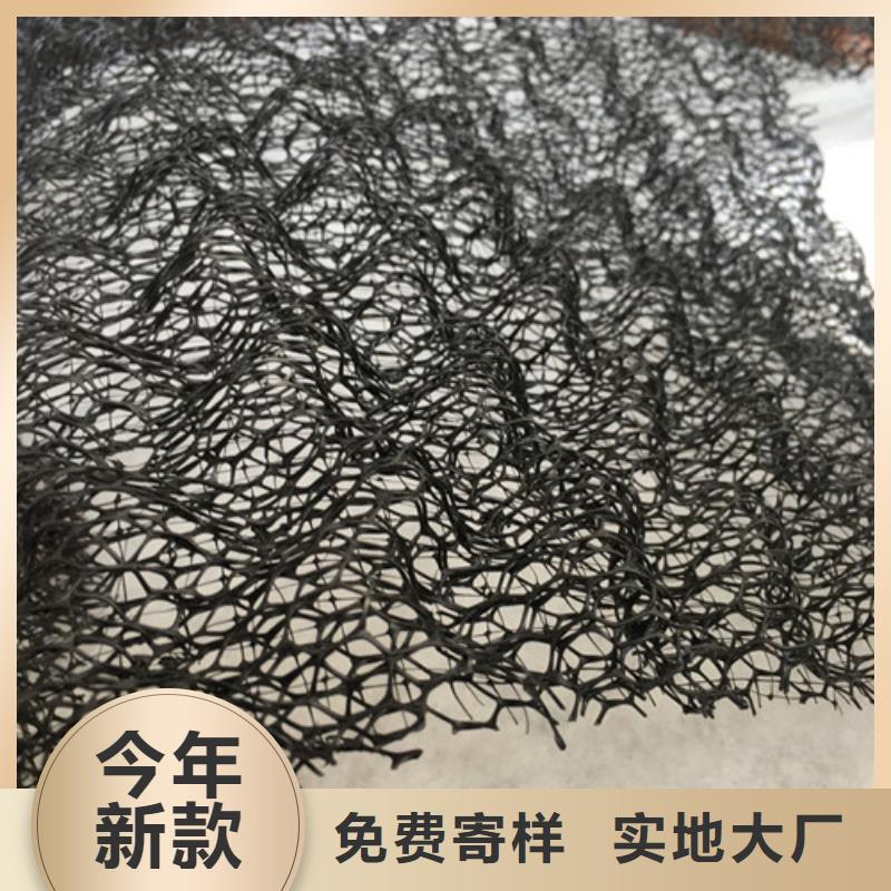 三維植被網(wǎng)-土工布可放心采購