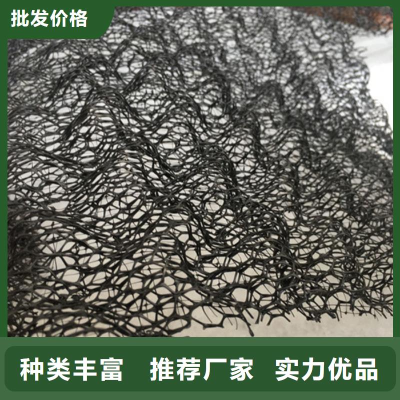 三維植被網(wǎng)三維土工網(wǎng)墊追求品質(zhì)