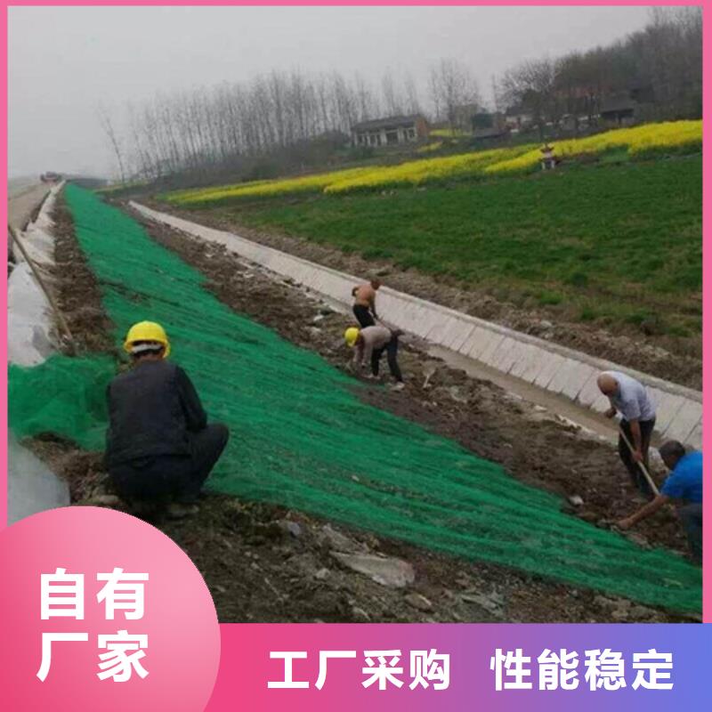 三維植被網(wǎng)【土工布】性能穩(wěn)定