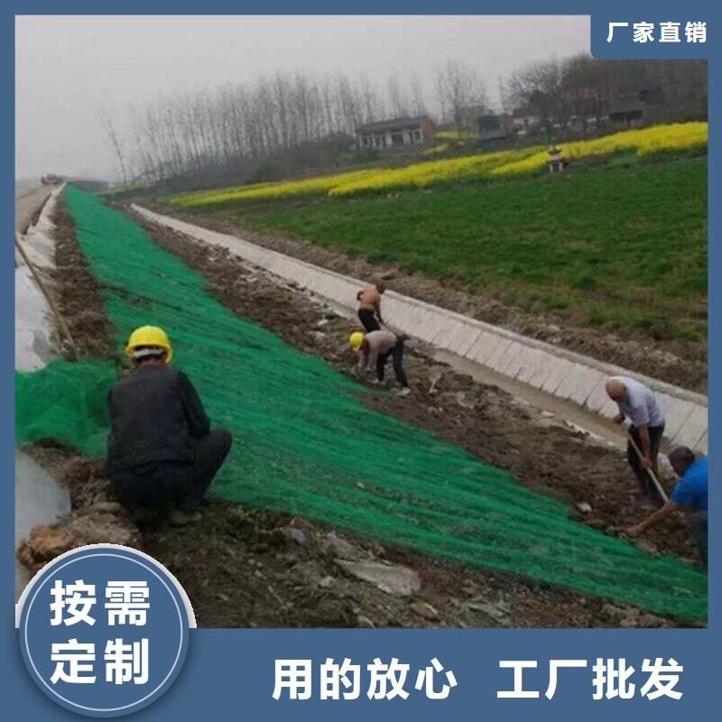 【三維植被網(wǎng)-排水板產(chǎn)地貨源】