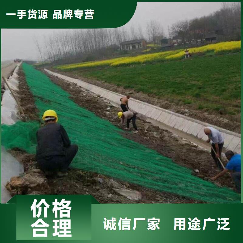 三維植被網(wǎng)土工網(wǎng)來(lái)圖加工定制