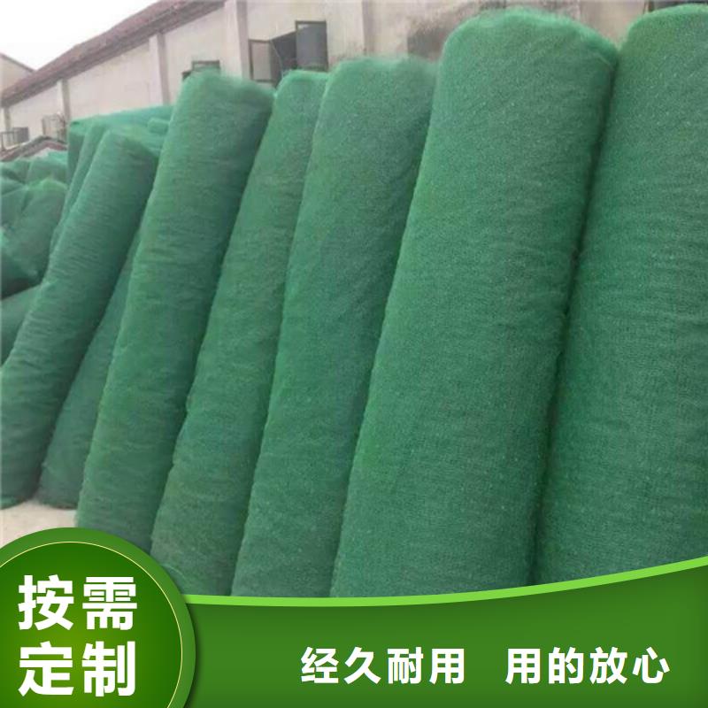 三維植被網(wǎng) 【通風降噪絲網(wǎng)】客戶信賴的廠家