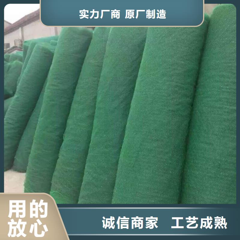 三維植被網(wǎng)土工網(wǎng)來(lái)圖加工定制