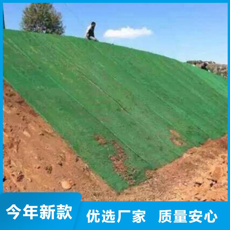 三維植被網(wǎng)三維植被網(wǎng)實力廠家直銷