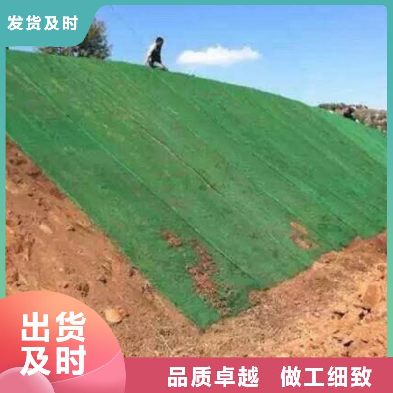 三維植被網(wǎng)_加筋麥克墊供您所需