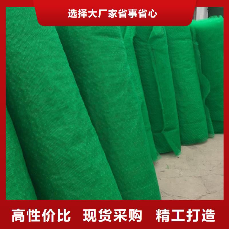 三維植被網(wǎng)【土工布】性能穩(wěn)定