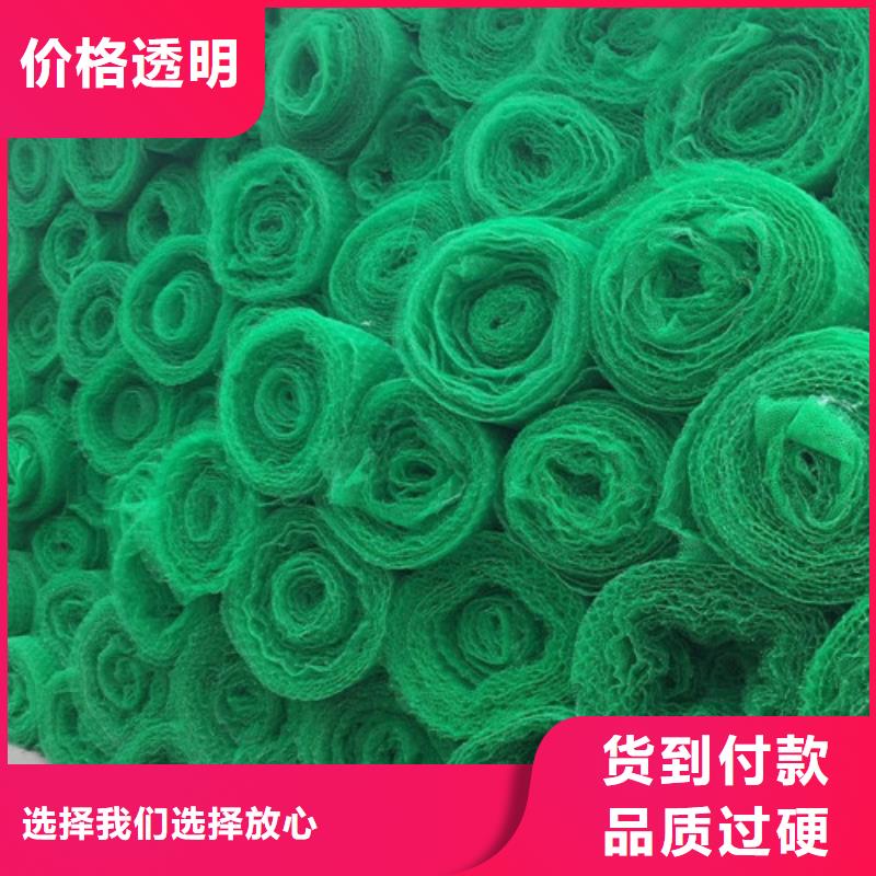 三維植被網(wǎng) 【抗裂貼】真材實(shí)料加工定制