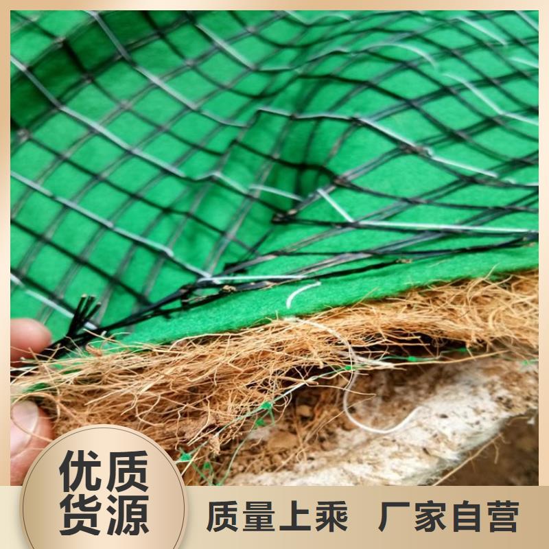 生态植物防护毯生产厂家