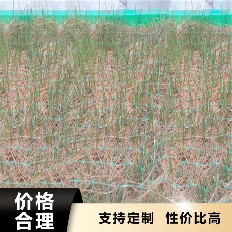 海南白沙县水保抗冲生物毯