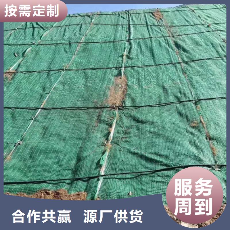 椰丝毯【膨润土防水毯】多种规格可选