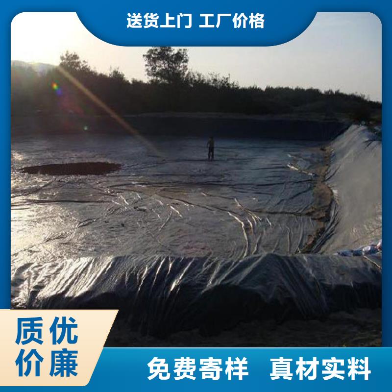 固廢防滲土工膜
