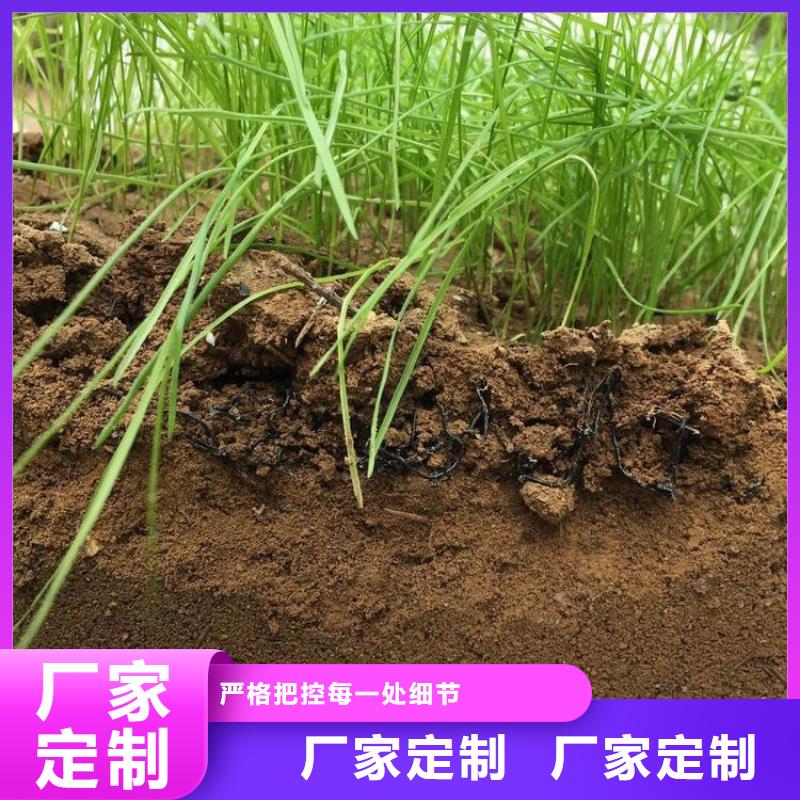 7020水土保护毯经销批发