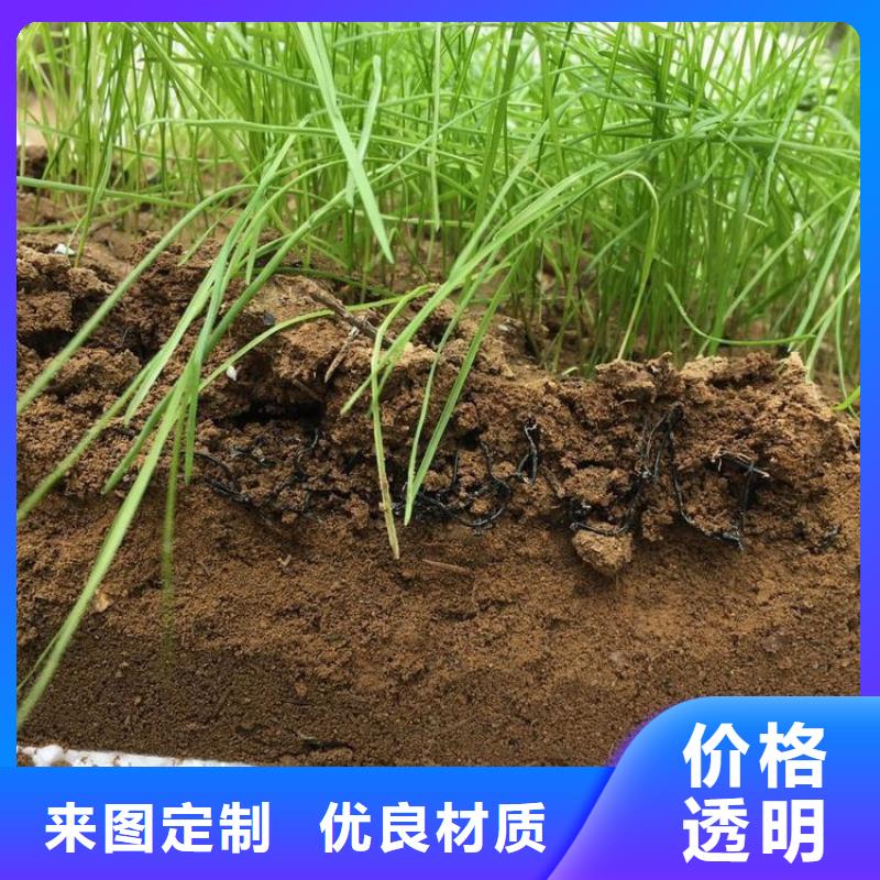 【水土保护毯涤纶格栅物美价优】