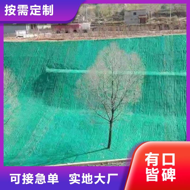 【椰丝毯】植草格可放心采购