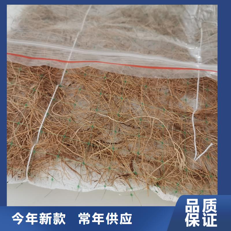 生态植物防护毯加筋抗冲生态毯