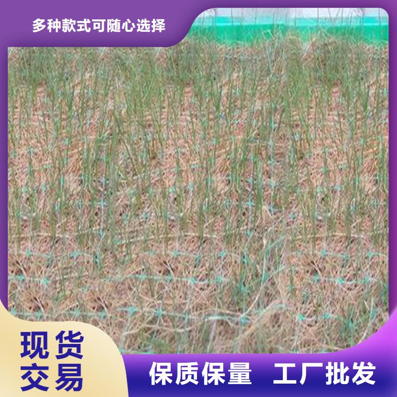 水保抗冲生物毯厂家联系方式