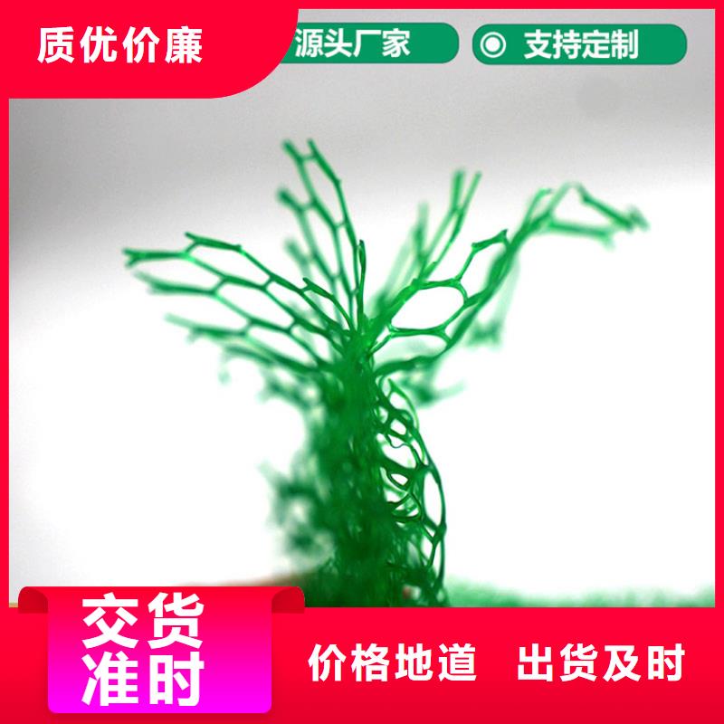 三维植被网【80KN玻纤格栅】专业生产设备