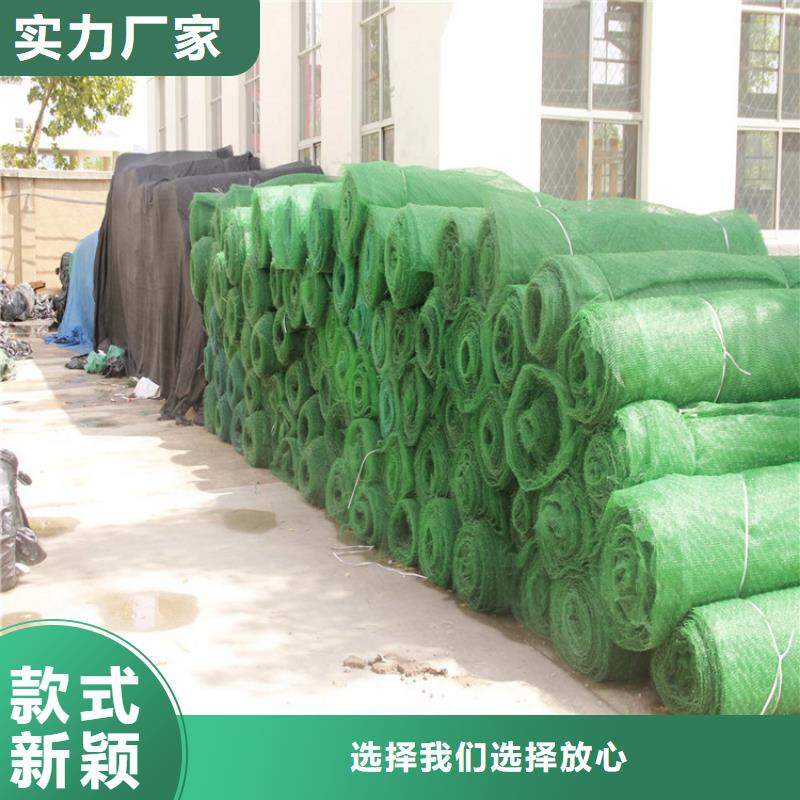 三维植被网塑料土工格栅优选厂商